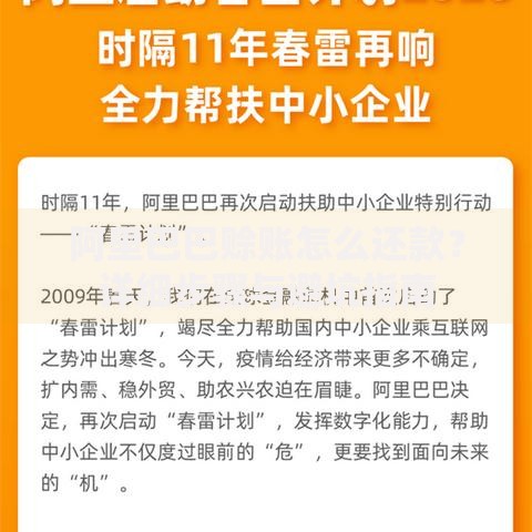 阿里巴巴赊账怎么还款？详细步骤与避坑指南