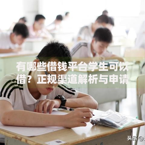 有哪些借钱平台学生可以借？正规渠道解析与申请指南