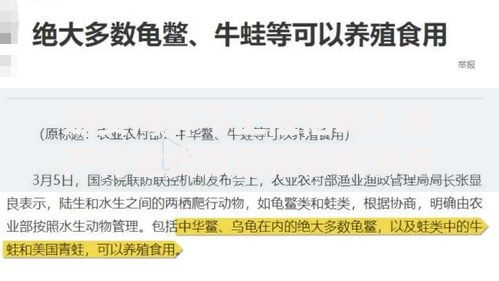 贩卖海鲜不上征信吗？水产行业贷款征信影响解析