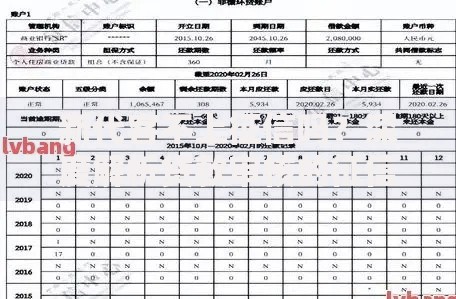 新代客不上征信吗？深度解析贷款审核的征信影响
