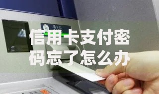 信用卡支付密码忘了怎么办？三步快速找回+安全防护指南