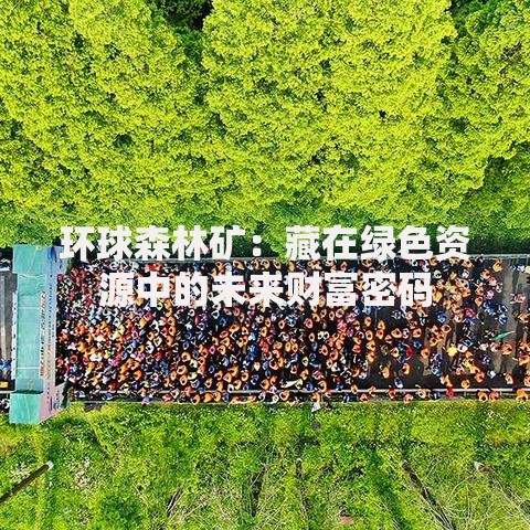 环球森林矿：藏在绿色资源中的未来财富密码