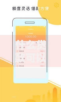 什么贷款可以分24期？哪些平台支持分期还款