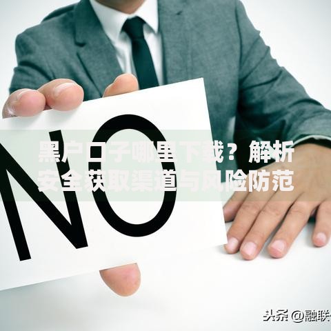 黑户口子哪里下载？解析安全获取渠道与风险防范