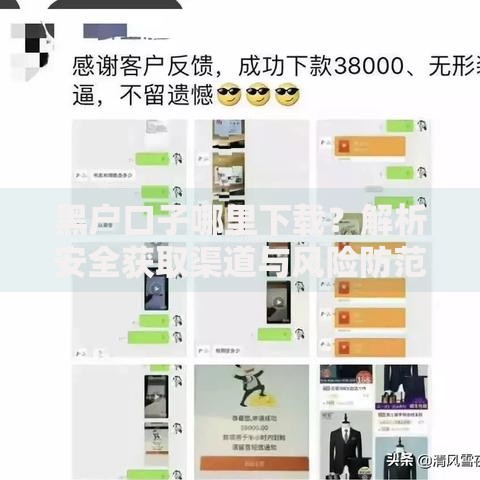 黑户口子哪里下载？解析安全获取渠道与风险防范