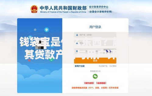 钱袋宝是什么东西？解析其贷款产品与用户评价