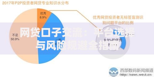 网贷口子交流：平台选择与风险规避全指南