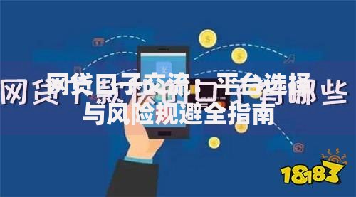 网贷口子交流：平台选择与风险规避全指南