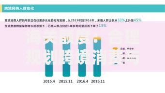 海关额度：合理规划跨境消费与资产配置的实用指南