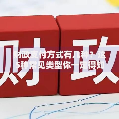 财政支付方式有几种？这5种常见类型你一定得知道