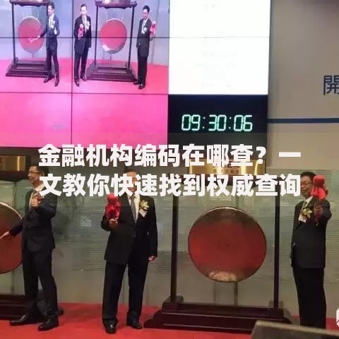 金融机构编码在哪查？一文教你快速找到权威查询入口