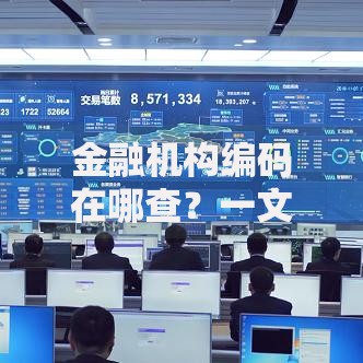 金融机构编码在哪查？一文教你快速找到权威查询入口