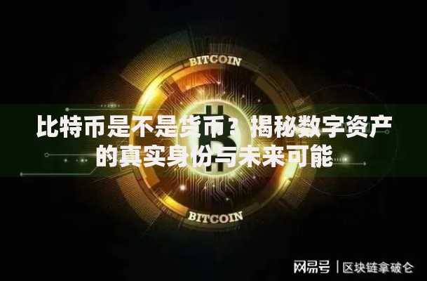 比特币是不是货币？揭秘数字资产的真实身份与未来可能