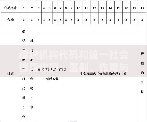 组织机构代码和统一社会信用代码：区别、作用与常见疑问解答