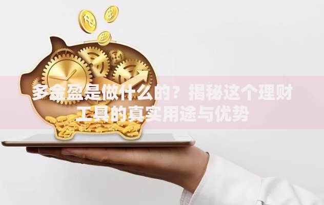 多金盈是做什么的？揭秘这个理财工具的真实用途与优势