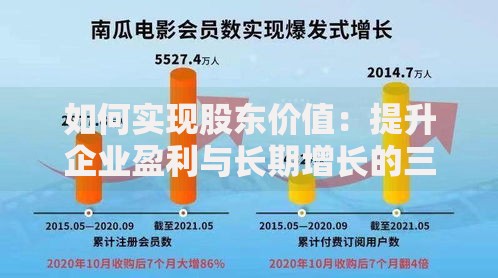 如何实现股东价值：提升企业盈利与长期增长的三大核心策略