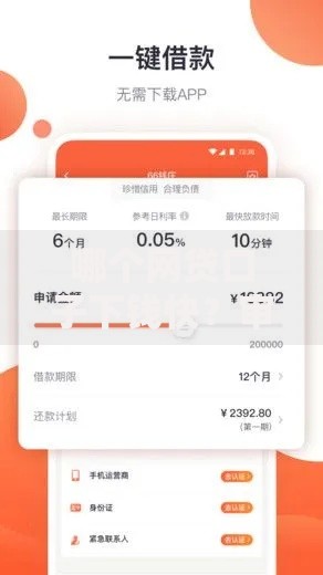 2025年借钱6万额度不需要押身份证不怕征信不好最好下款