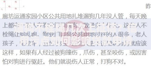 遛狗不栓绳几次上征信？信用污点如何影响贷款申请