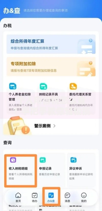 个人所得税怎么查？手把手教你轻松搞定查询流程