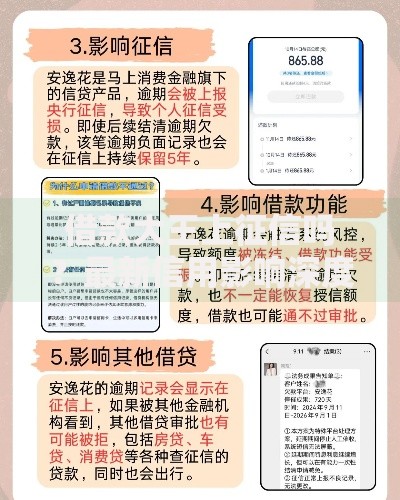 借款大王上征信吗？最新信用影响深度解析