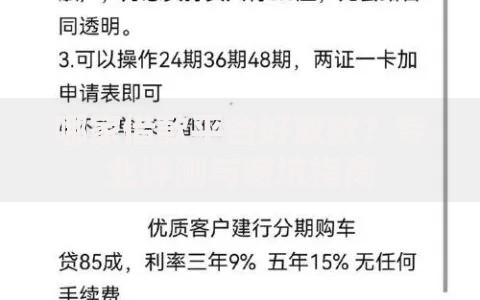 哪家借款平台好放款？专业评测与避坑指南