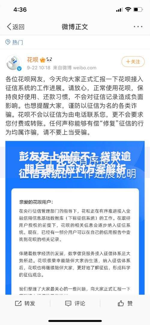 彭友友上征信不？贷款逾期后果与应对方案解析