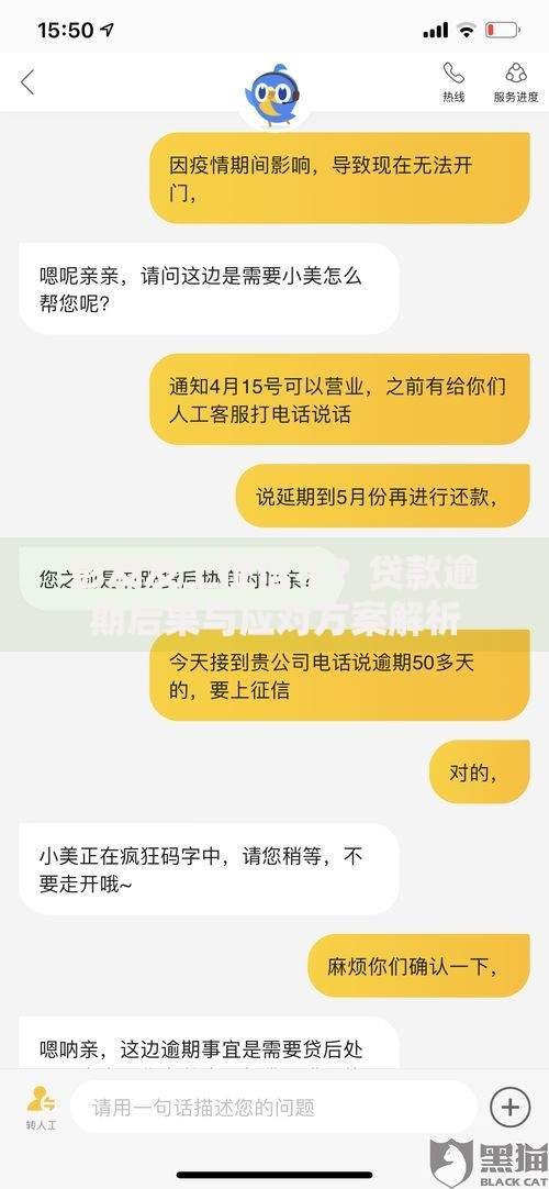 彭友友上征信不？贷款逾期后果与应对方案解析