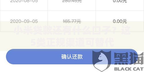 小米贷款还有什么口子？这5类正规渠道可替代