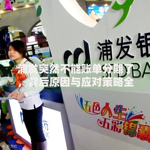 浦发突然不能账单分期了，背后原因与应对策略全解析