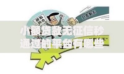 小额贷款无征信秒通过的平台有哪些？5大正规渠道解析