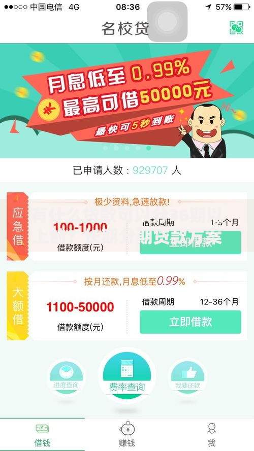 有什么贷款可以分36期以上的？长期分期贷款方案解析