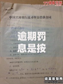 逾期罚息是按照总金额计算的吗？贷款合同关键条款解析