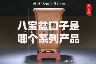 八宝盆口子是哪个系列产品？全面解析其背景与特点