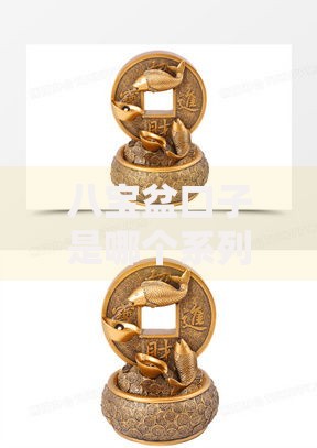 八宝盆口子是哪个系列产品？全面解析其背景与特点