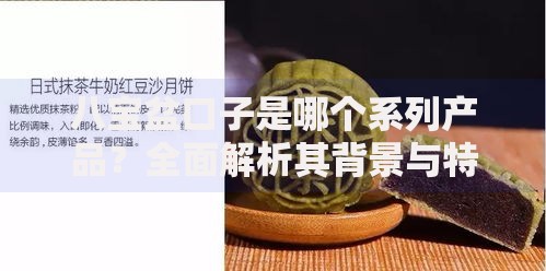 八宝盆口子是哪个系列产品？全面解析其背景与特点