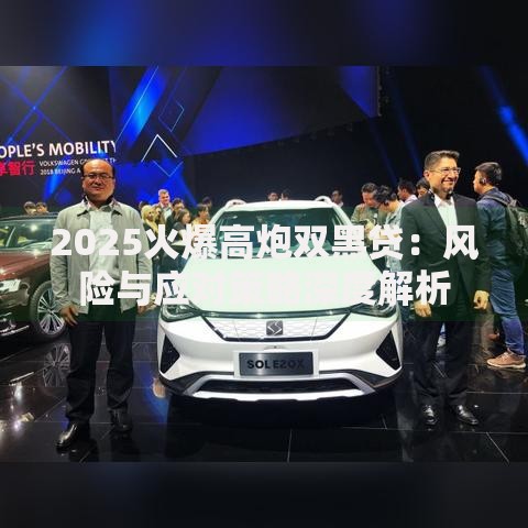 2025火爆高炮双黑贷：风险与应对策略深度解析