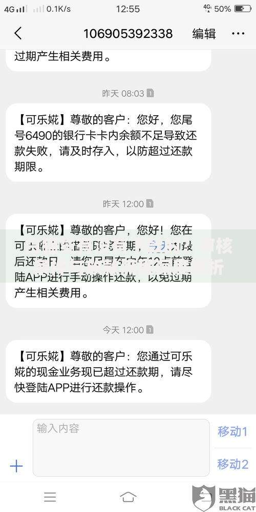 白猫贷有没有下款的？审核条件与放款流程深度解析