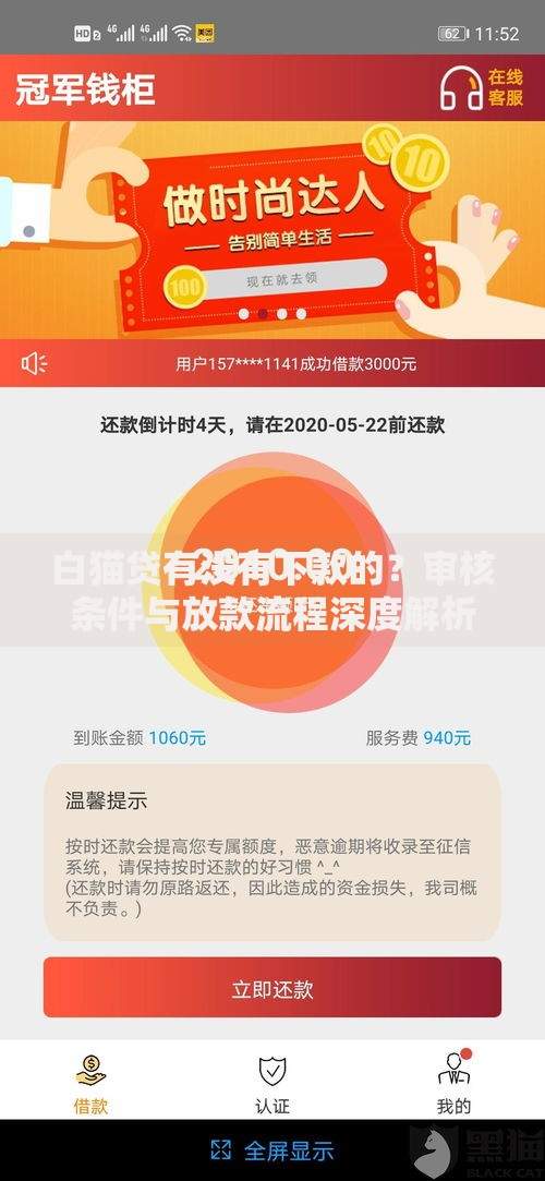 白猫贷有没有下款的？审核条件与放款流程深度解析