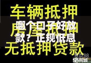 哪个口子好放款？正规低息贷款渠道全解析
