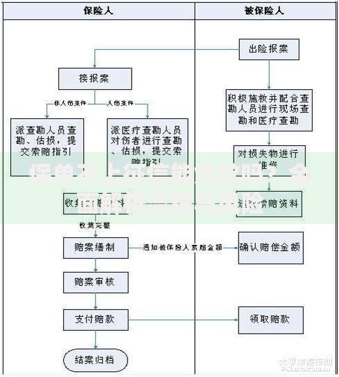保单不上征信能贷款吗？全面解析流程与风险