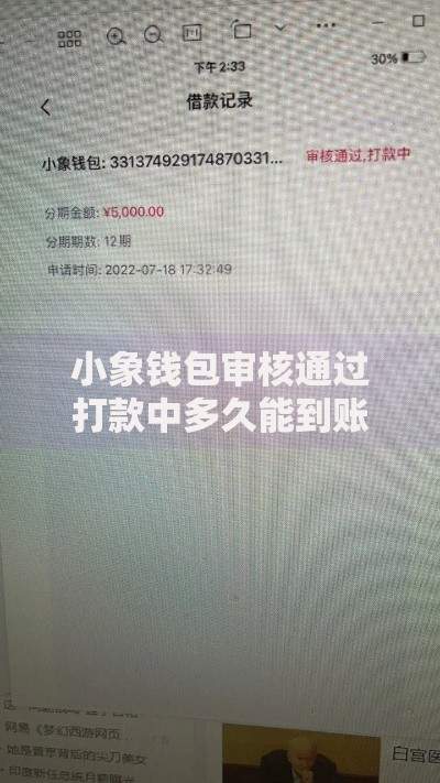 小象钱包审核通过打款中多久能到账｜流程解析及常见疑问解答