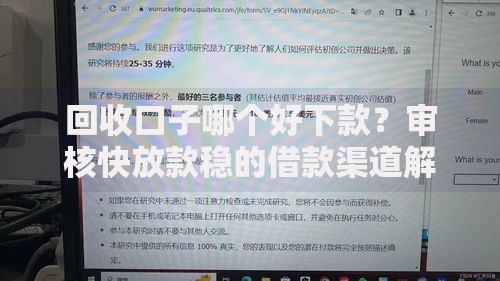 回收口子哪个好下款？审核快放款稳的借款渠道解析