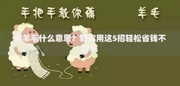 薅羊毛什么意思？教你用这5招轻松省钱不踩坑
