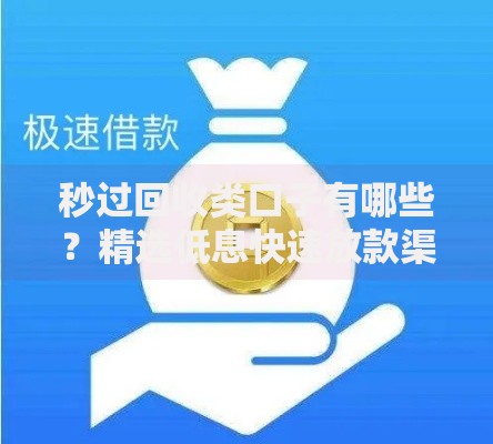 秒过回收类口子有哪些？精选低息快速放款渠道解析