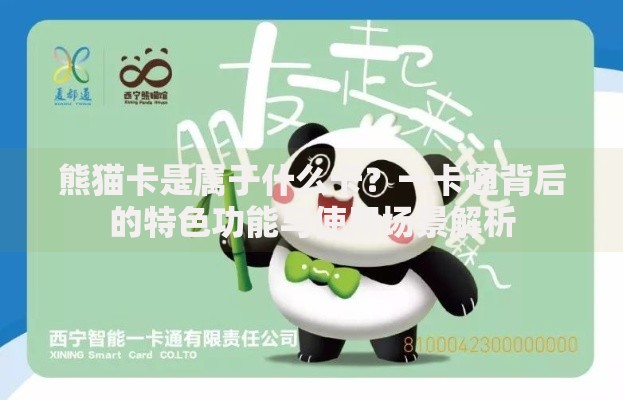 熊猫卡是属于什么卡？一卡通背后的特色功能与使用场景解析