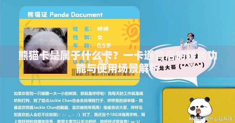 熊猫卡是属于什么卡？一卡通背后的特色功能与使用场景解析