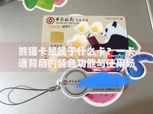 熊猫卡是属于什么卡？一卡通背后的特色功能与使用场景解析