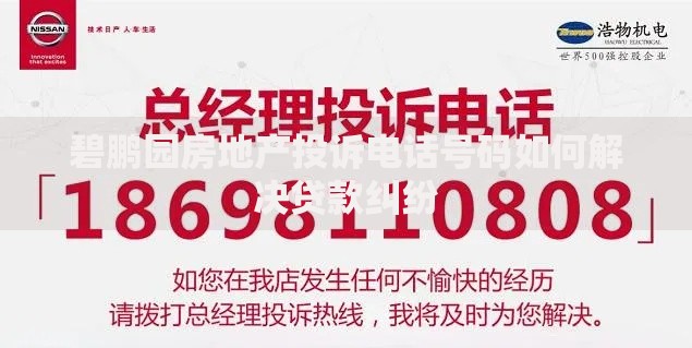 碧鹏园房地产投诉电话号码如何解决贷款纠纷