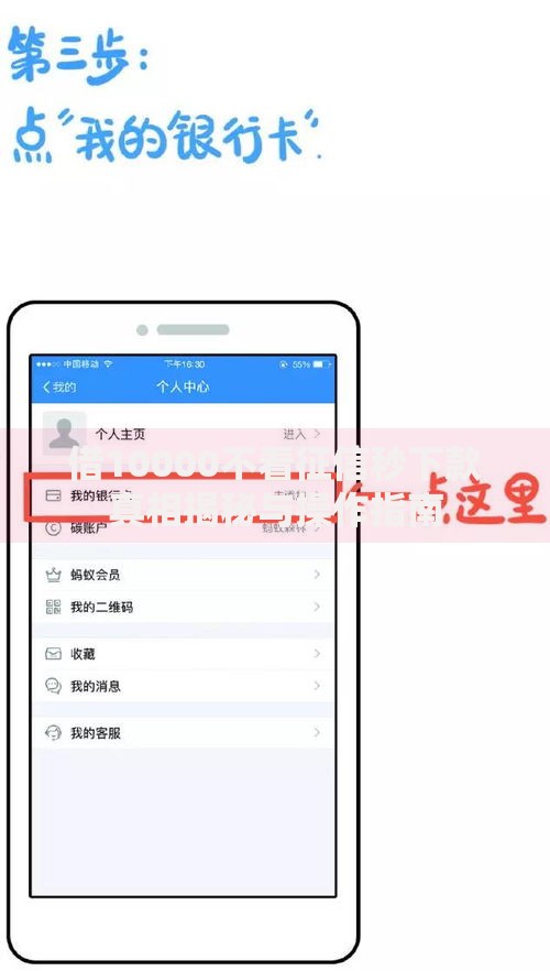 借10000不看征信秒下款真相揭秘与操作指南