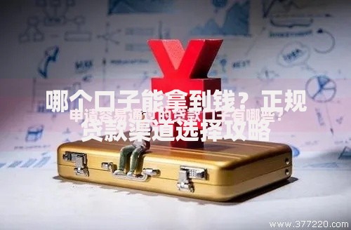 哪个口子能拿到钱？正规贷款渠道选择攻略